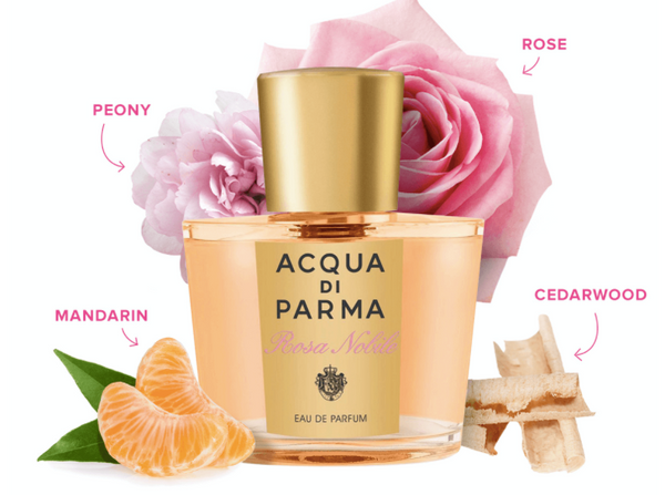 D'ACQUA ROSE perfume